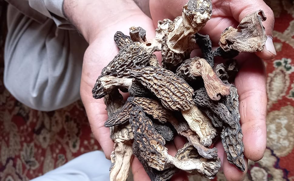 Kashmiri dry mashroom