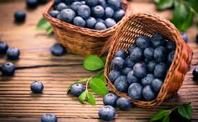 Blue berries plum